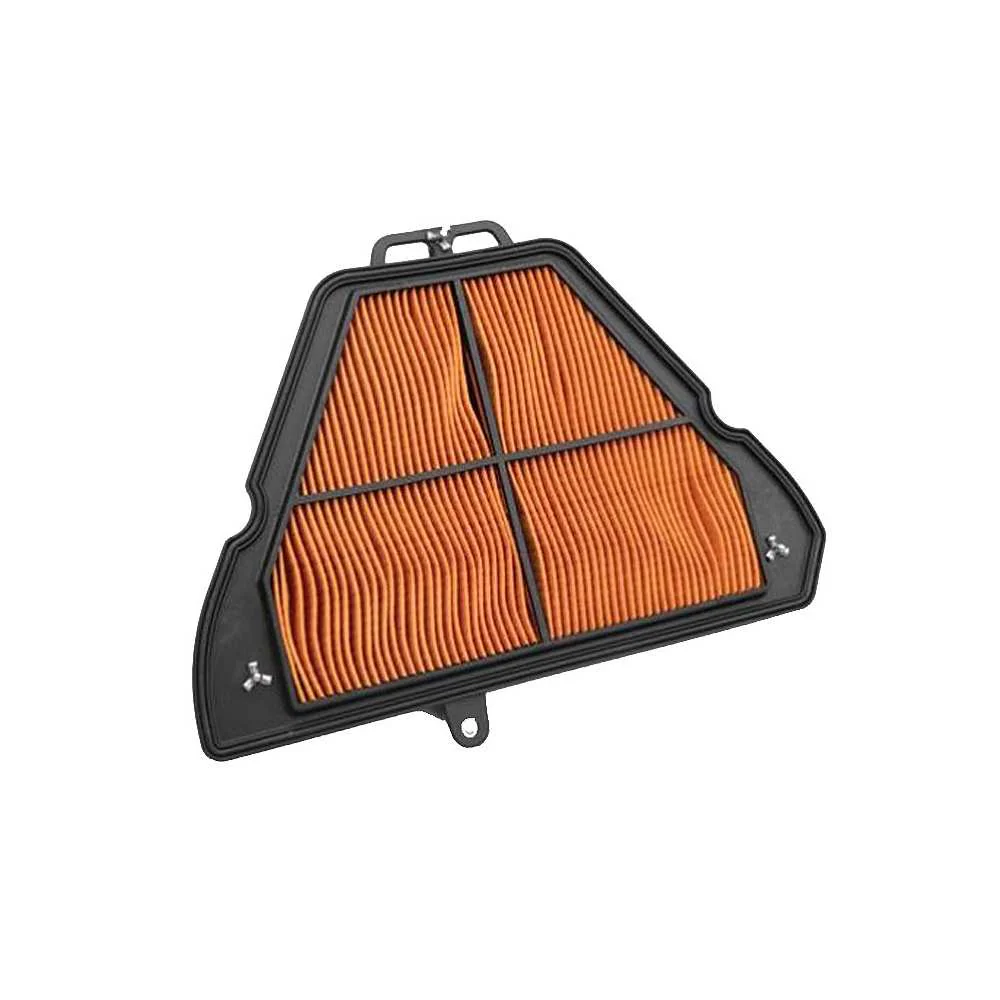 Air Filter T2204820