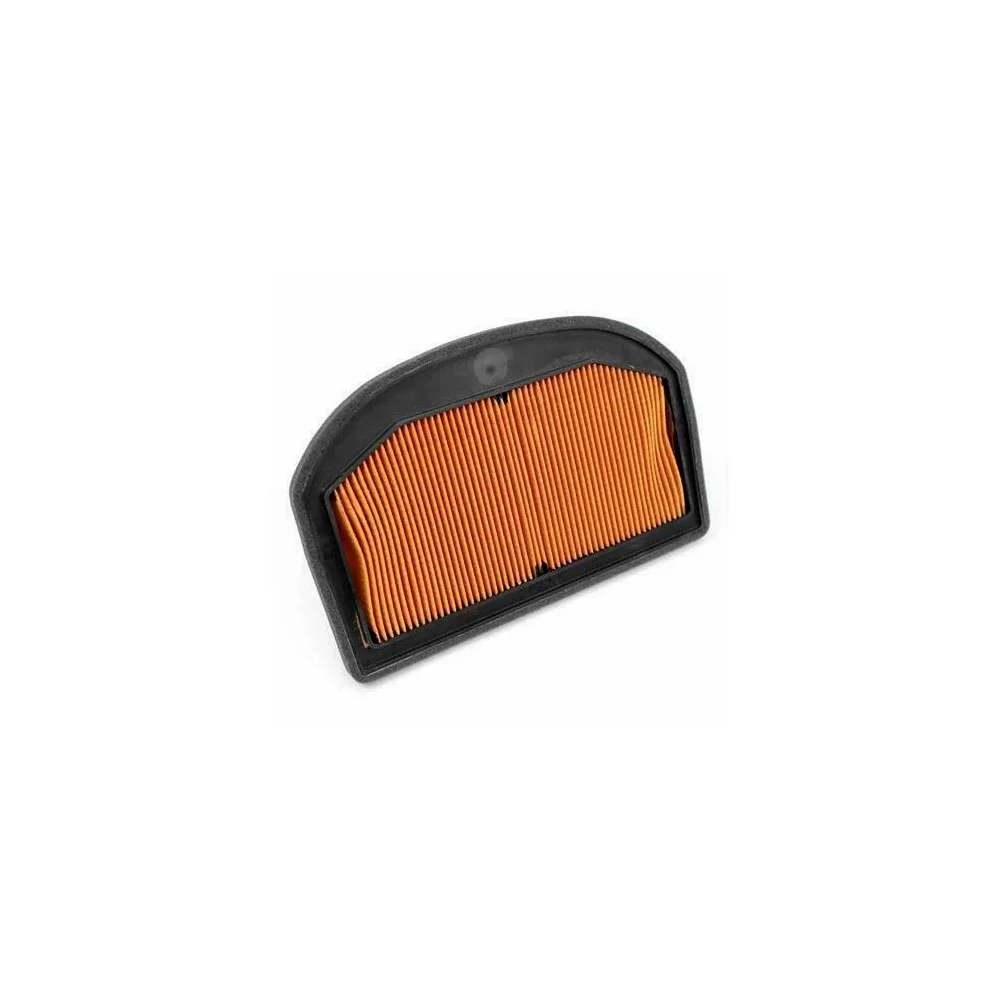 Air Filter T2209555